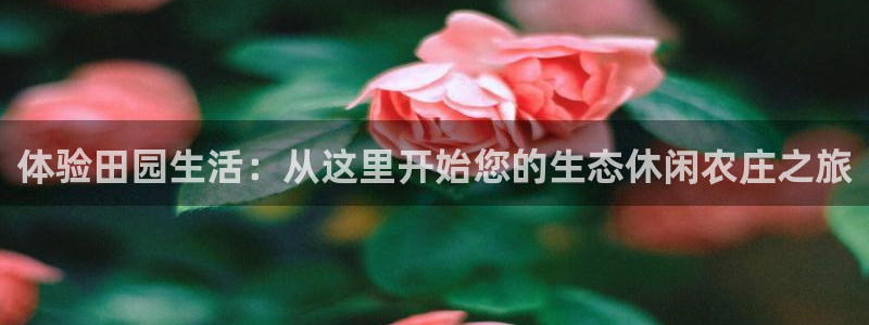 必一运动官网平台