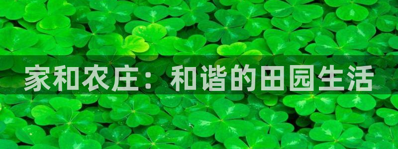 必十二和必一的副作用