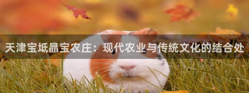 必一运动tieba.baidu.com