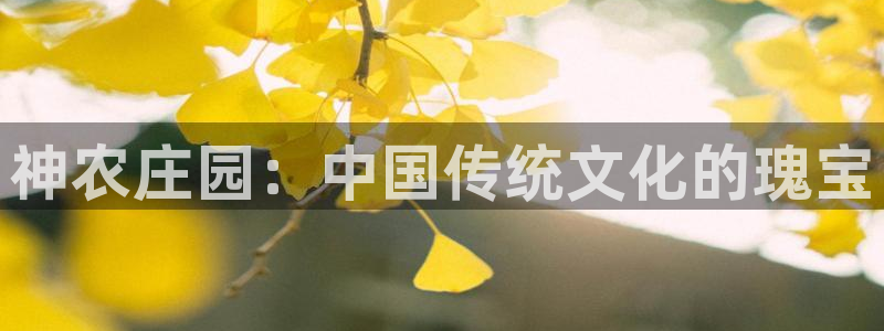 必一体育APP下载安装