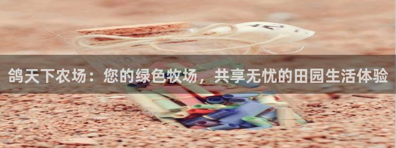 必一体育官网app