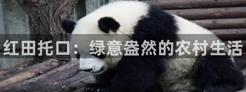 必一体育运动官网