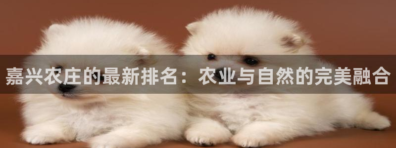 必一体育合法吗