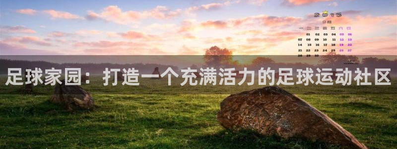 必一体育app官方网站