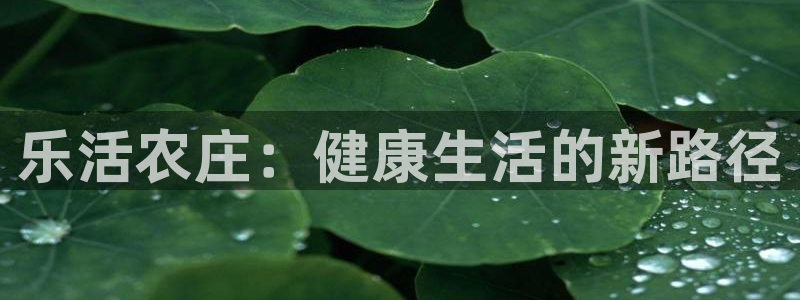 必一体育游戏特色