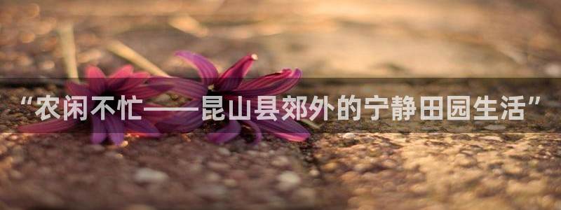 必一体育官方下载