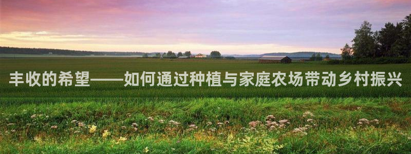 必一体育官网网址