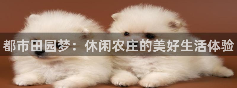 必一体育官网网址