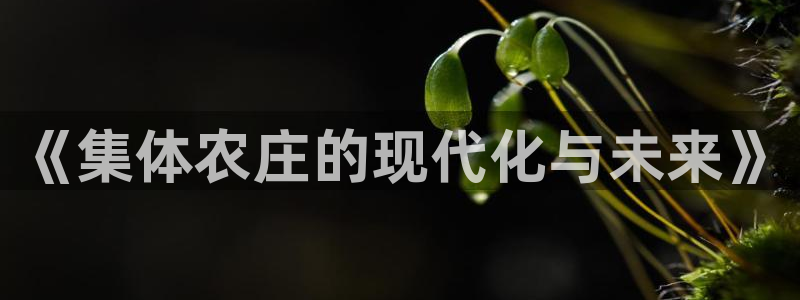 必一体育app官方