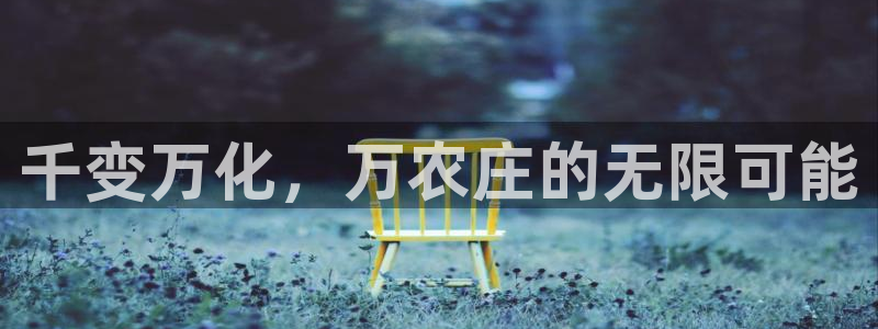 必一体育网页登录版官网