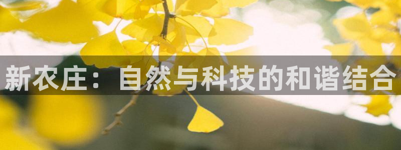 必一体育运动app下载