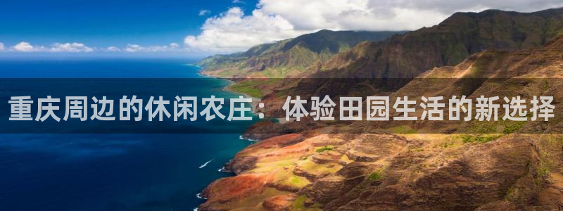 必一体育电子app