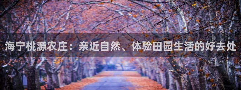 必一运动验证码