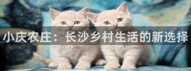 必一体育运动app下载