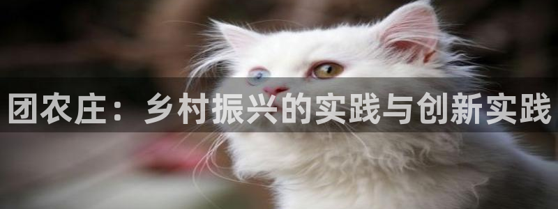 必一体育app官方下载入口