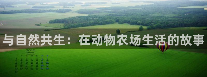 必一体育下载一样吗