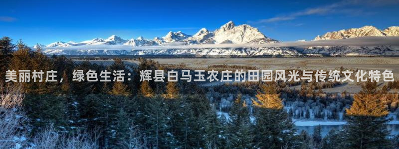 必一体育服下载最新版本更新内容