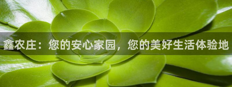 必一体育平台