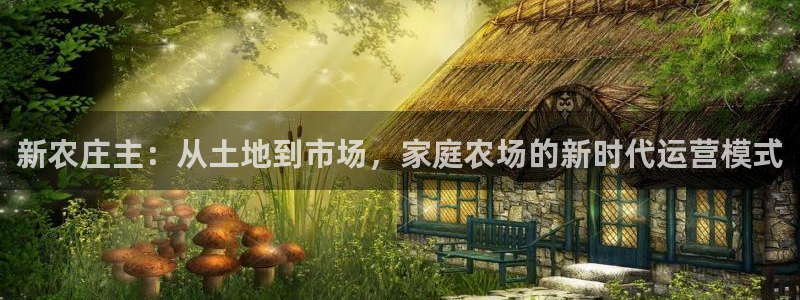 必一体育网址