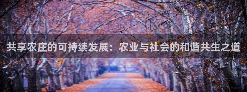 必一体育手机下载