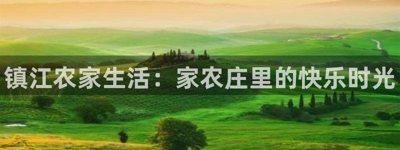 必一体育在哪下
