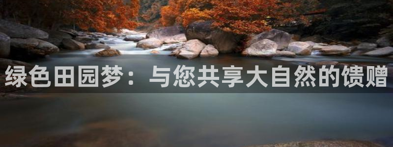 必一体育bsport下载
