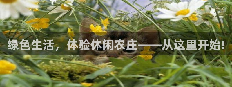 b体育必一运动网页版在线登录入口