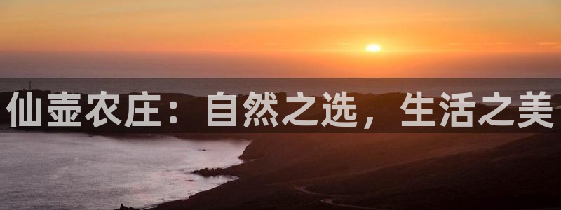 必一体育在线登陆