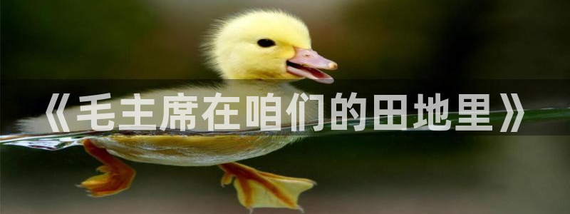 必一体育可靠吗