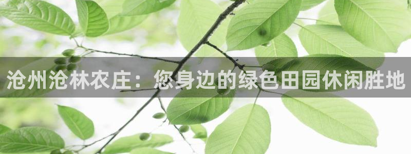 必一体育最新官网入口首页