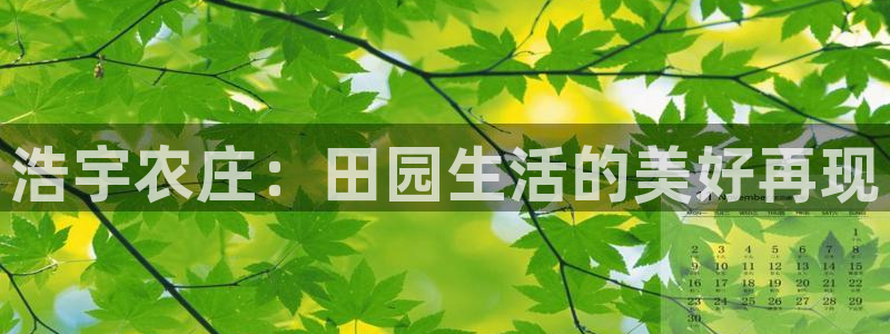 必一体育app下载最新版本