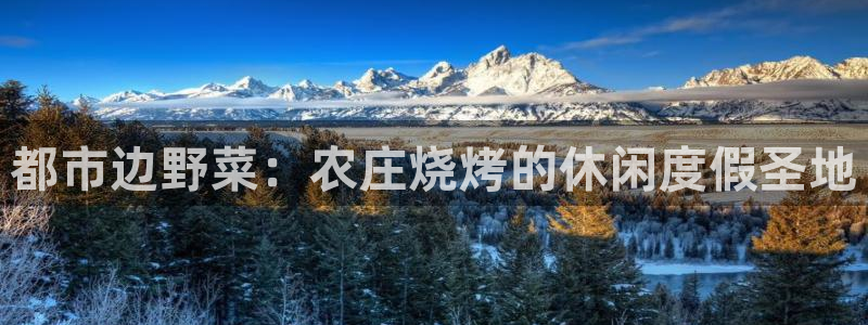 必一体育下载入口