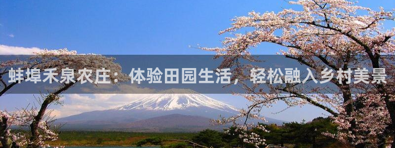Bsport体育必一